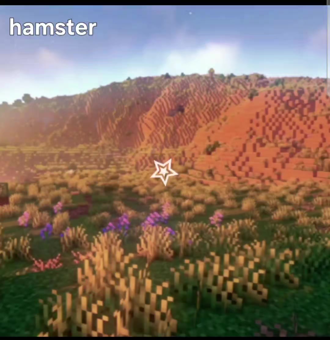@big#hamster1