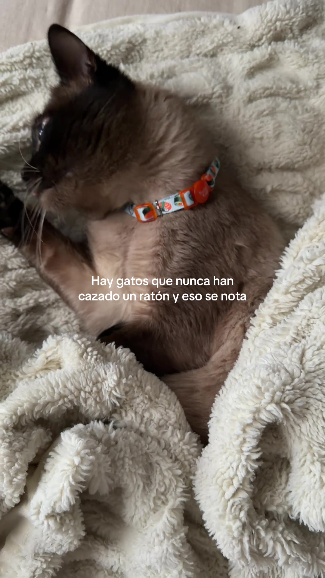 @Anahys Uribe
