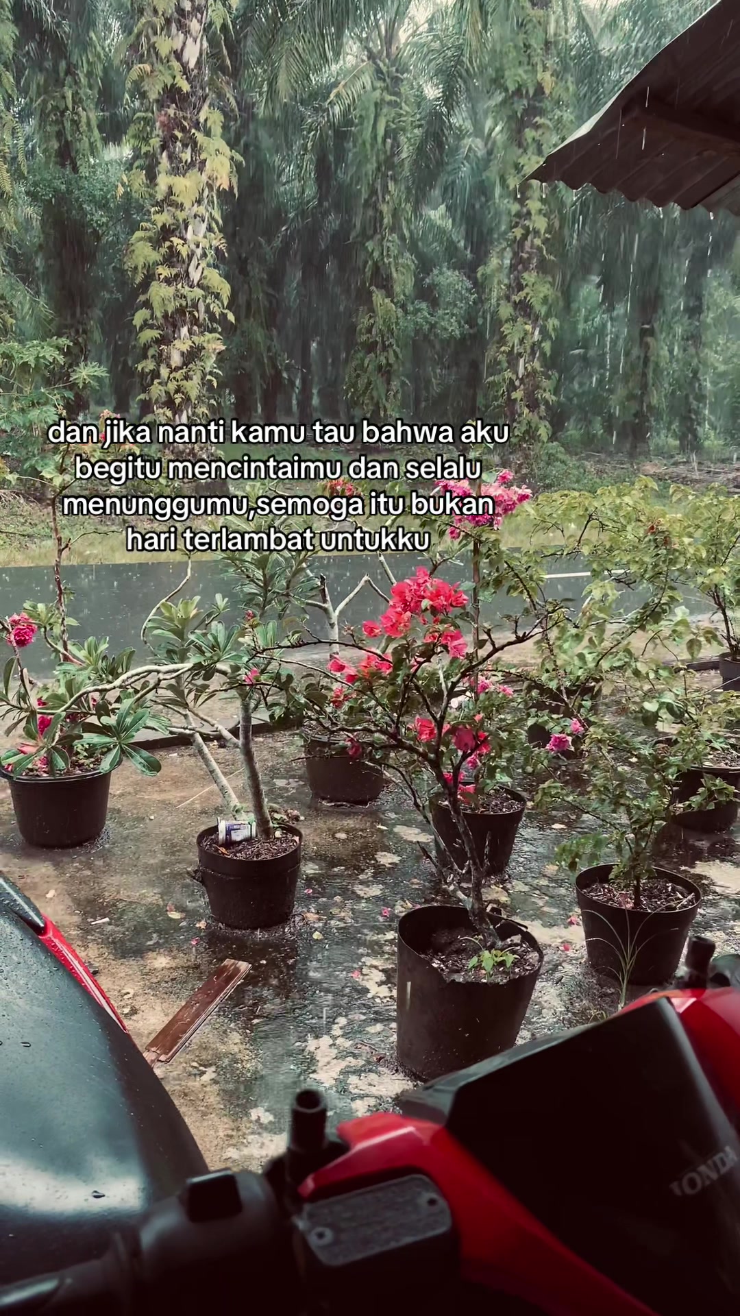 @Kamu ga papa?