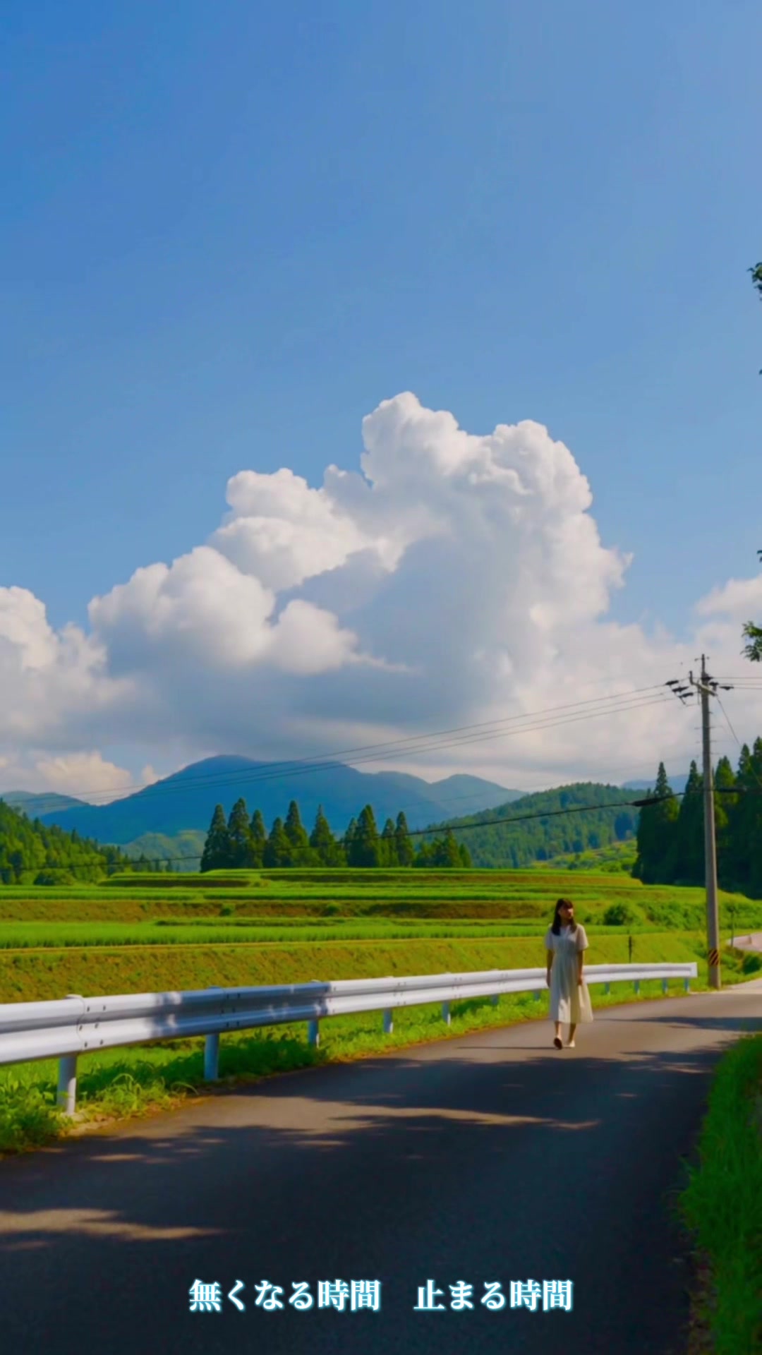 @Shin Hashi