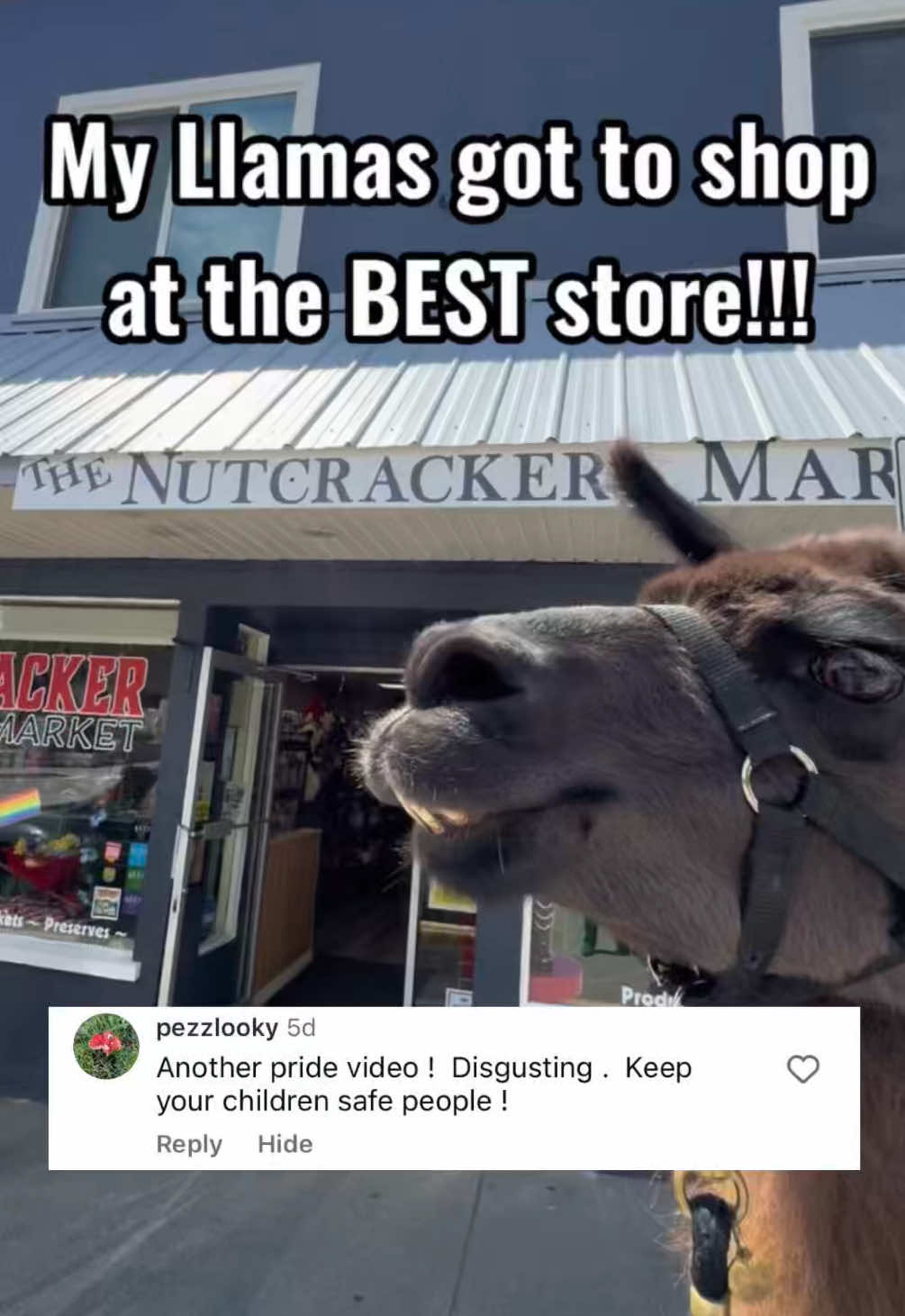 @The Llama Company
