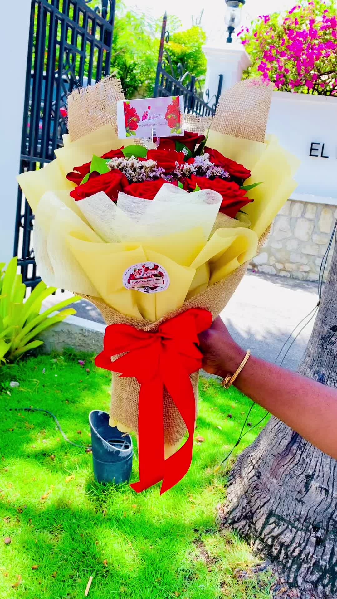 @Tikoflower509🌹