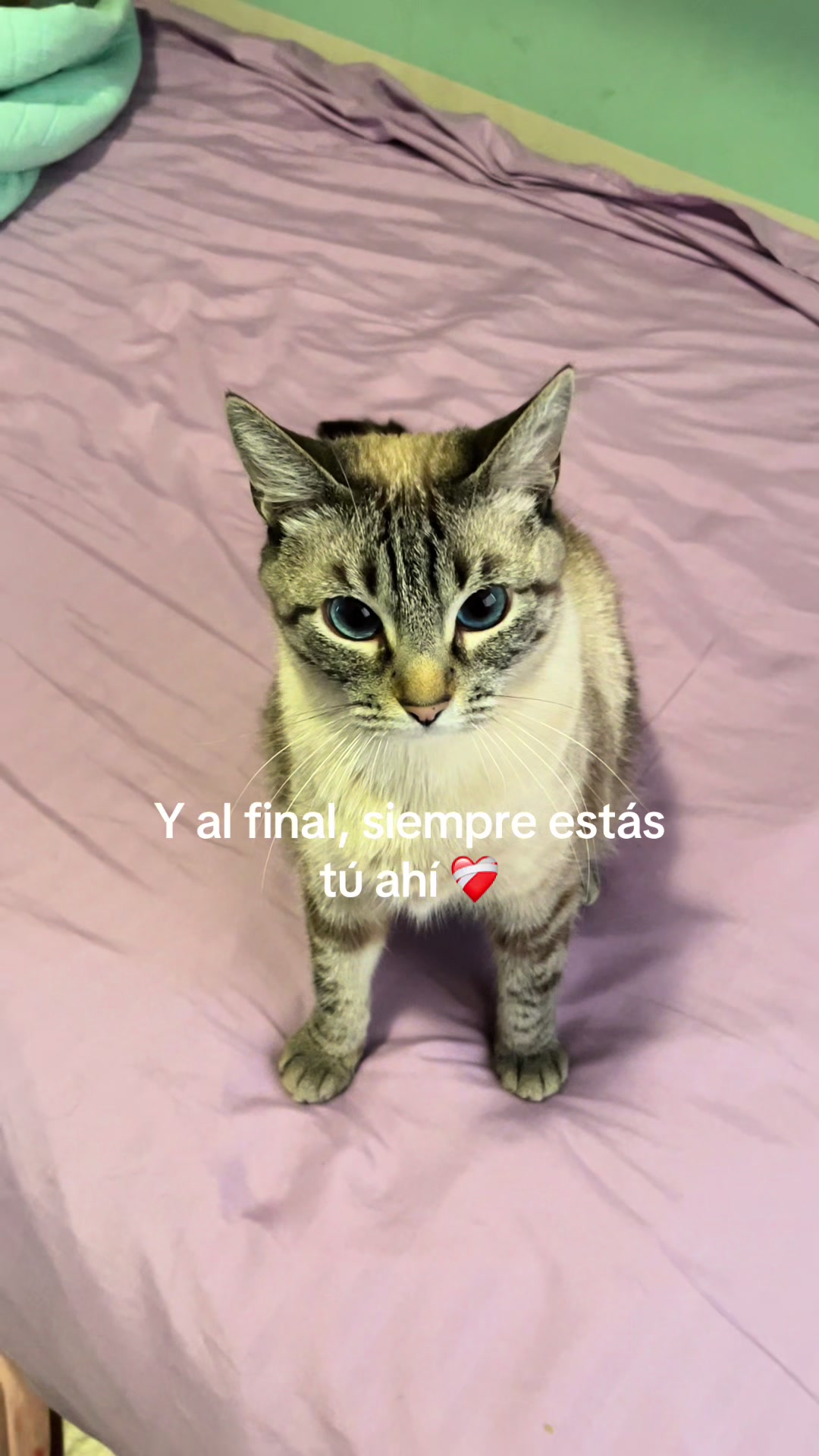@Mía García