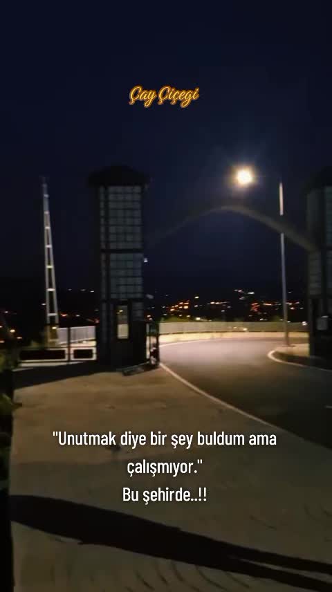 @Çay çiçeği-53