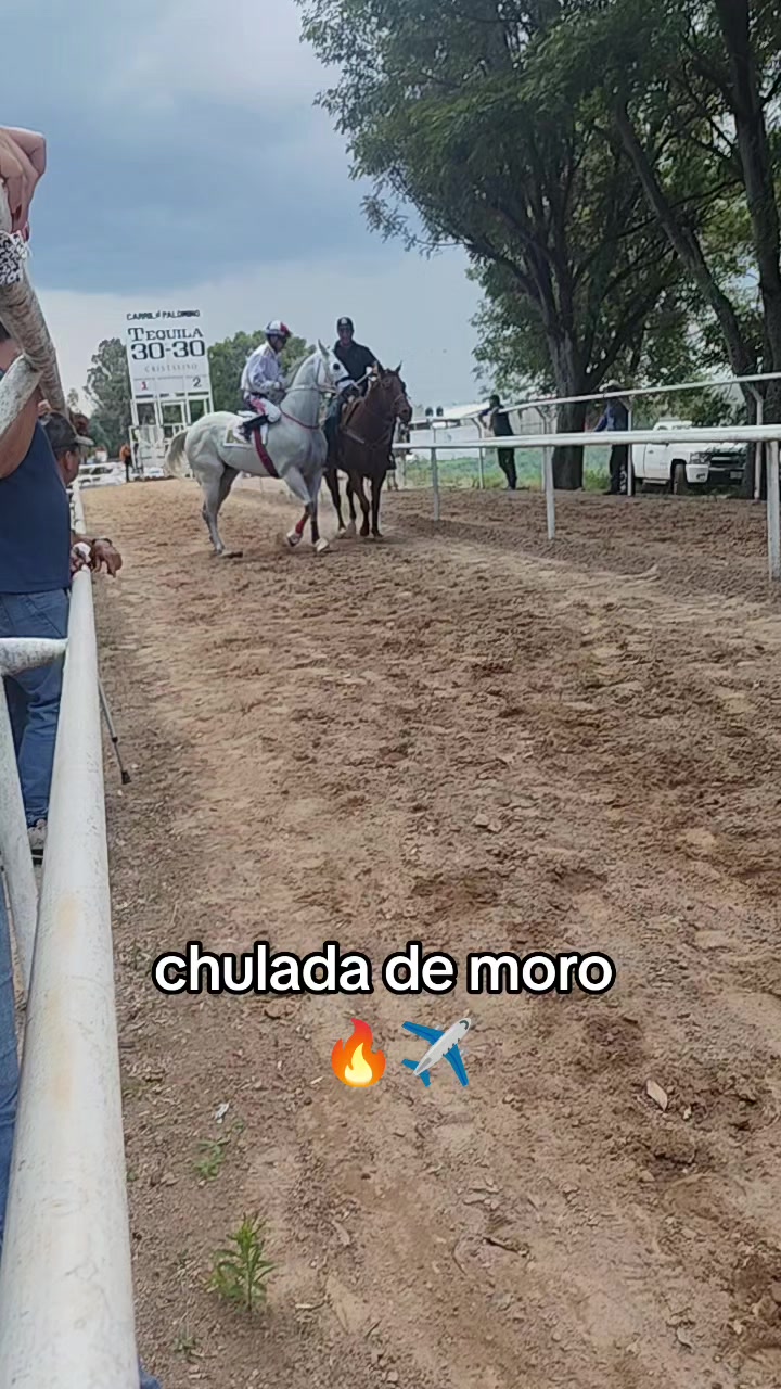 @carriles altos de jalisco🐎