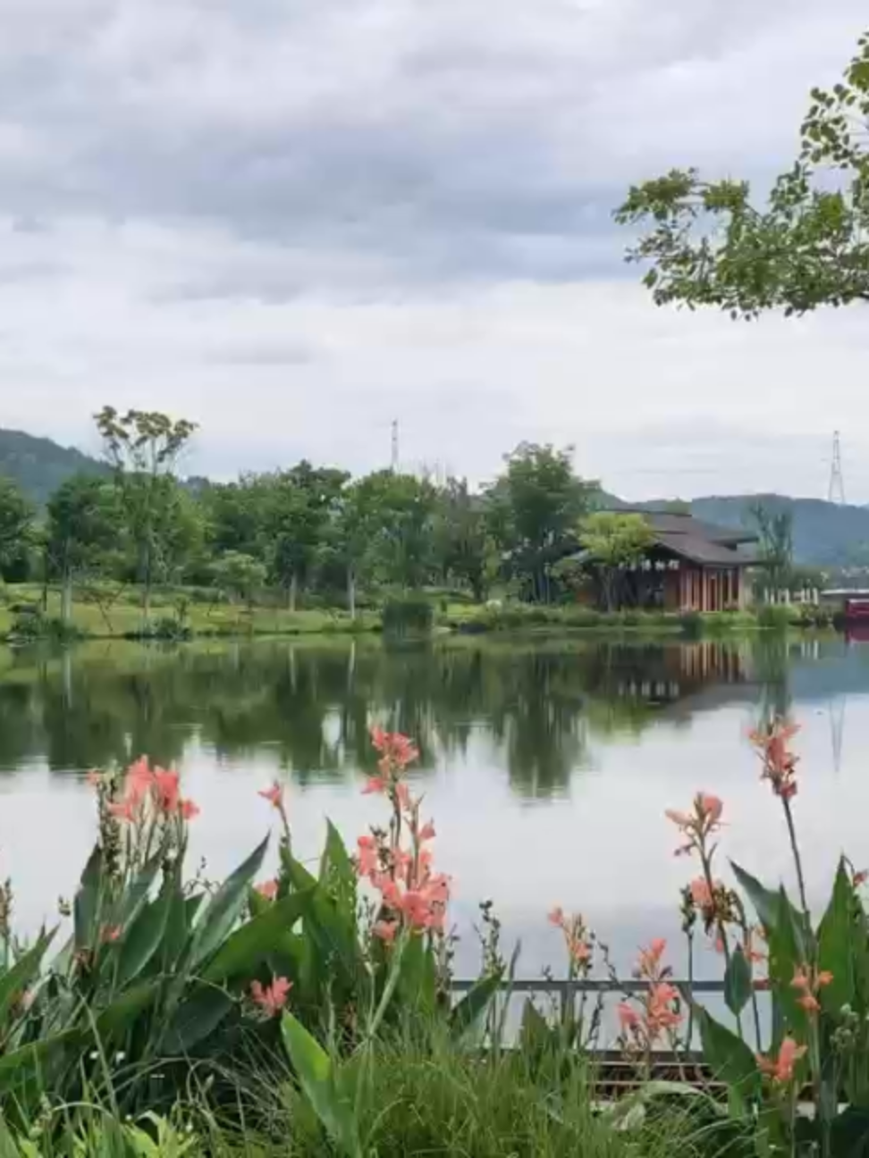 @中国蓝国际