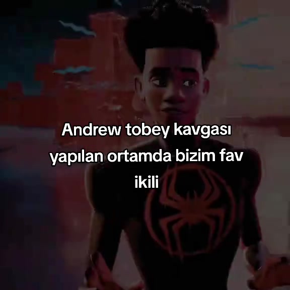 @Zlowskywalker🇦🇷