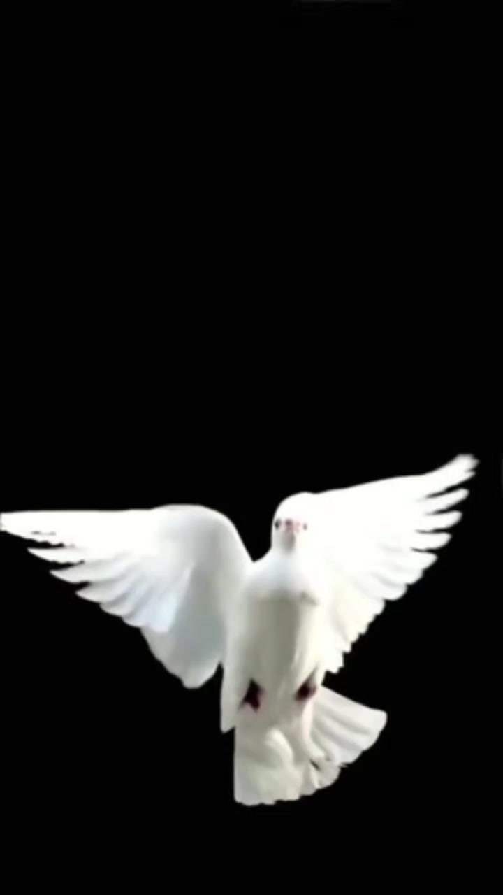 @✍️🎤EMİNE✍️HANIM 🎤💥💥