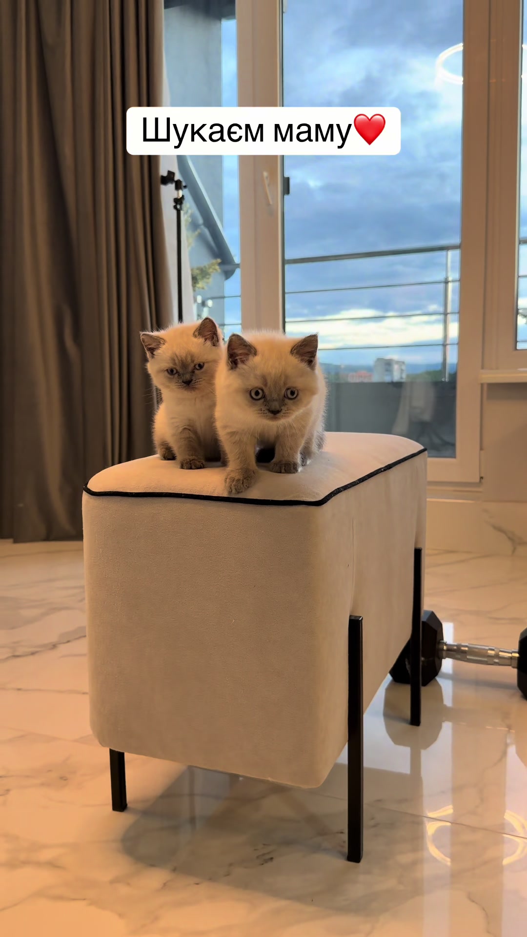 @Трускавецька киця 😻
