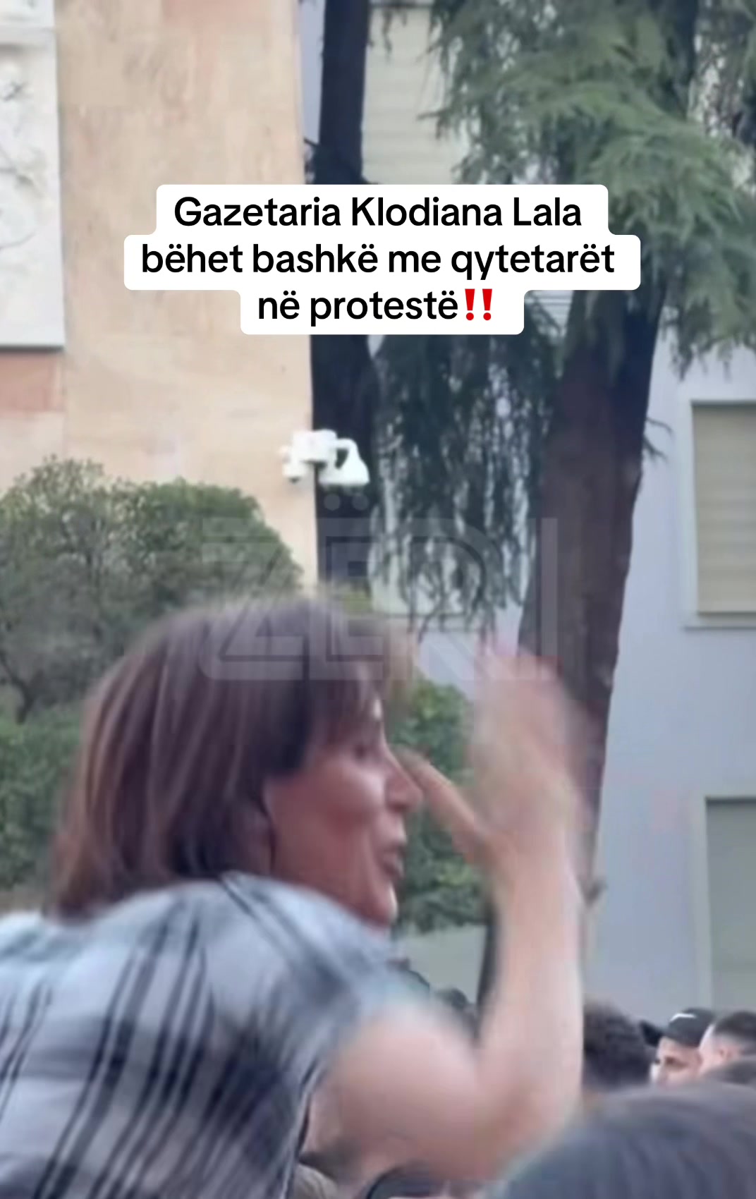 @Z&Euml;RI