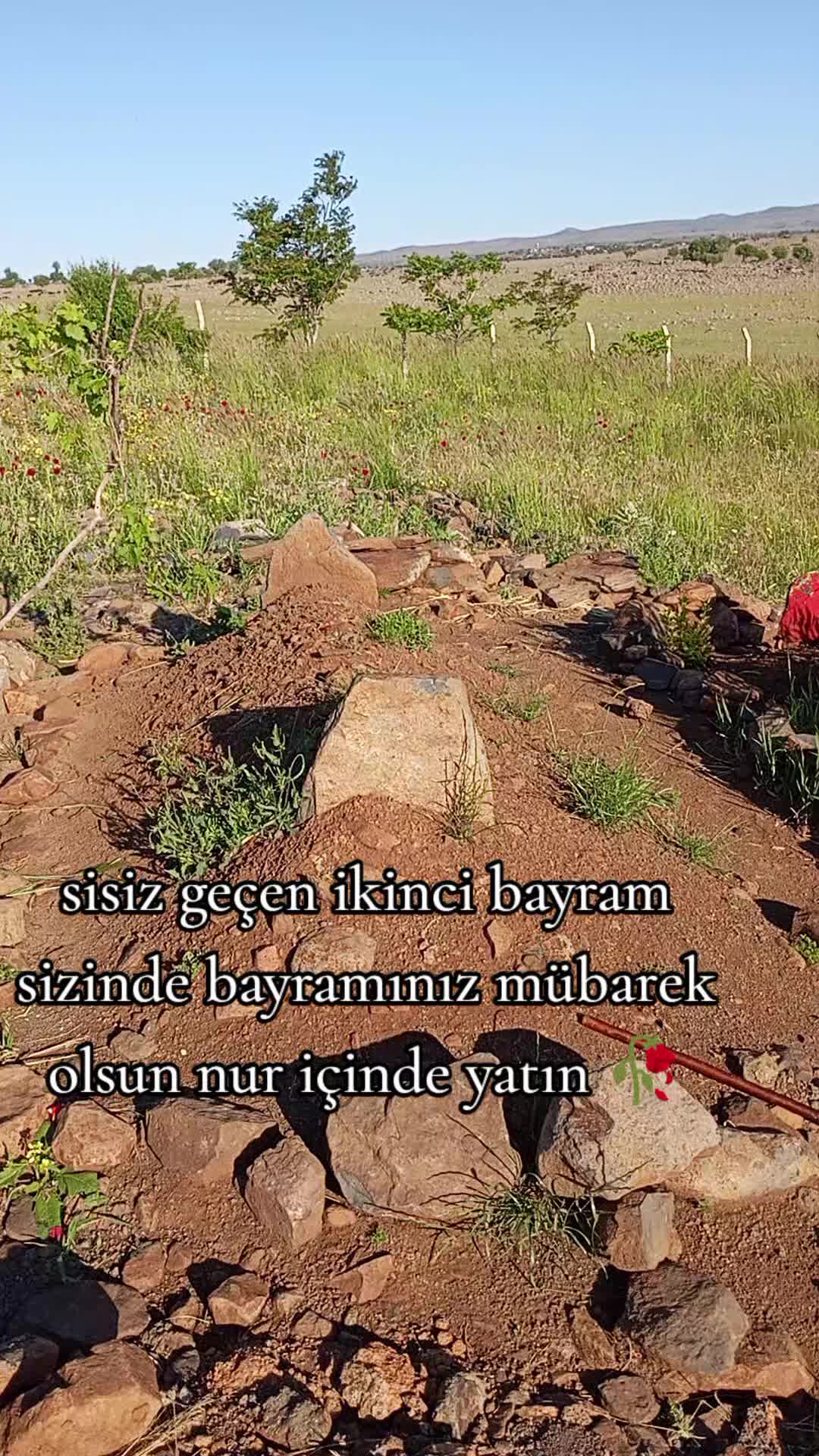 @M Nuri