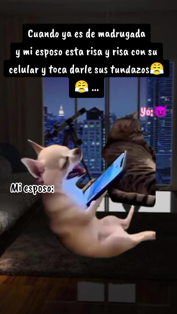 @memestristemariicruz🐈⬛ 🤣😔