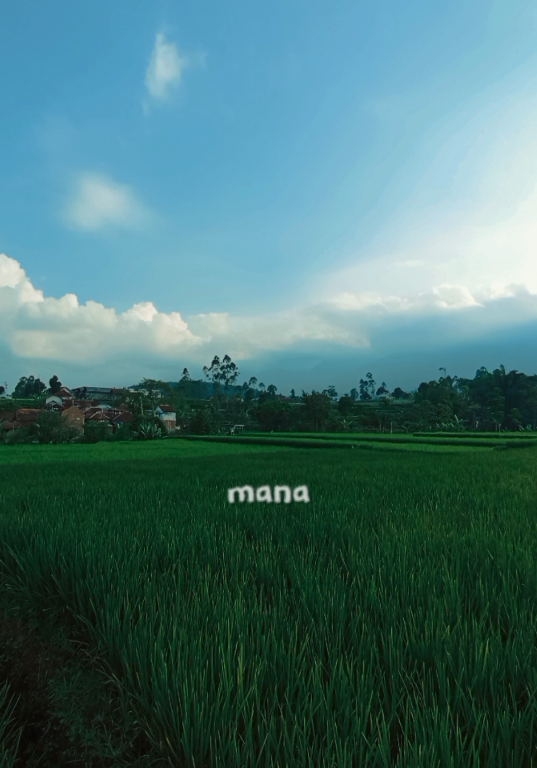@𝗣𝗲𝘀𝗼𝗻𝗮 𝗗𝗲𝘀𝗮 🍃