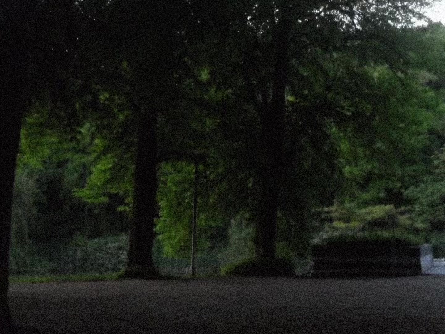 @𝒔𝒐𝒏𝒈𝒔