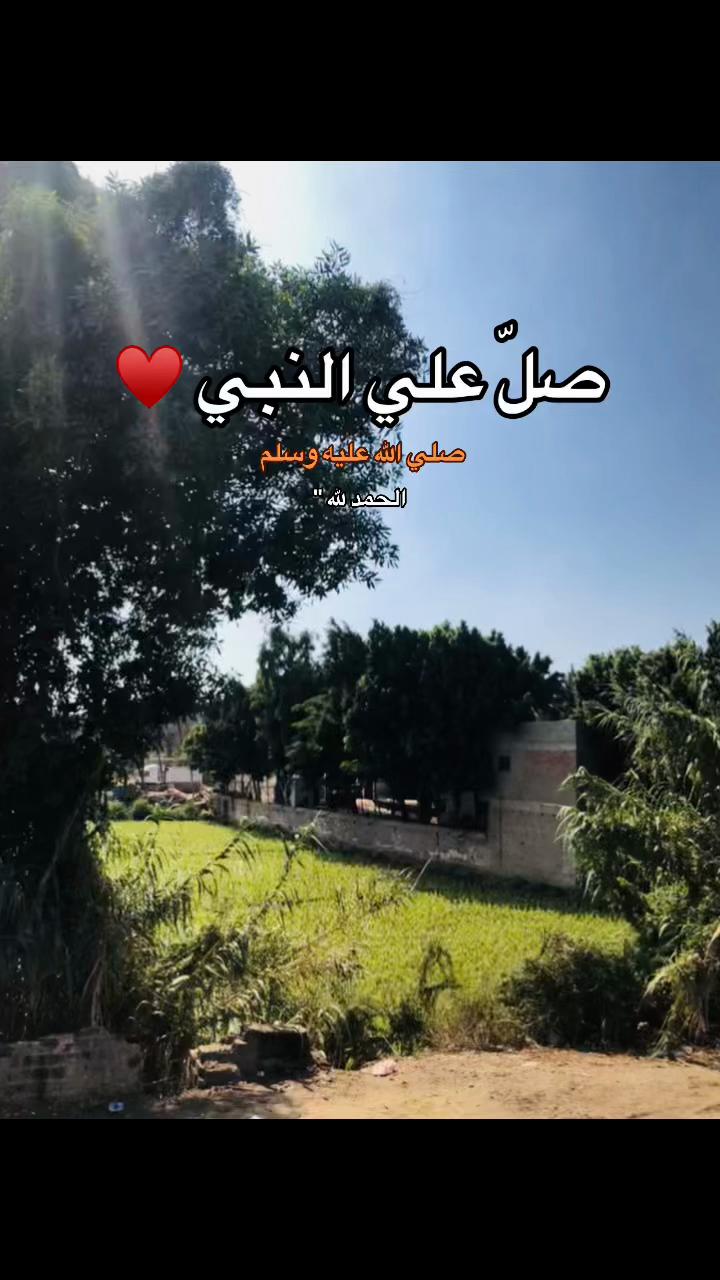 @﮼محمد | 1430هہ