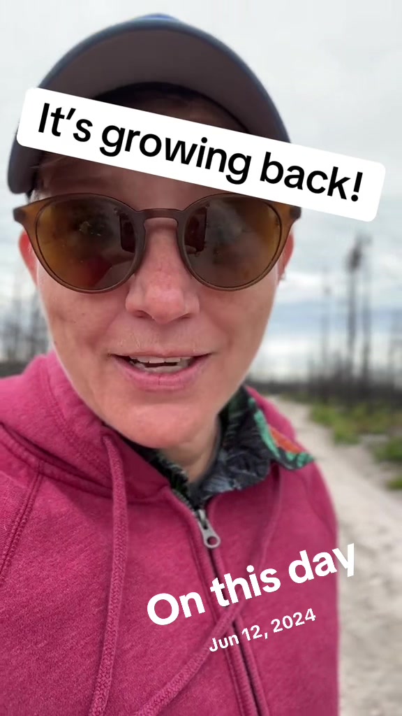 @discostar40🇨🇦