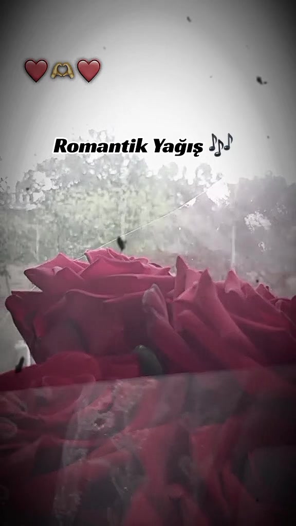 @♡𝙈𝙞𝙣𝙣𝙤𝙨̧➷♡🌸