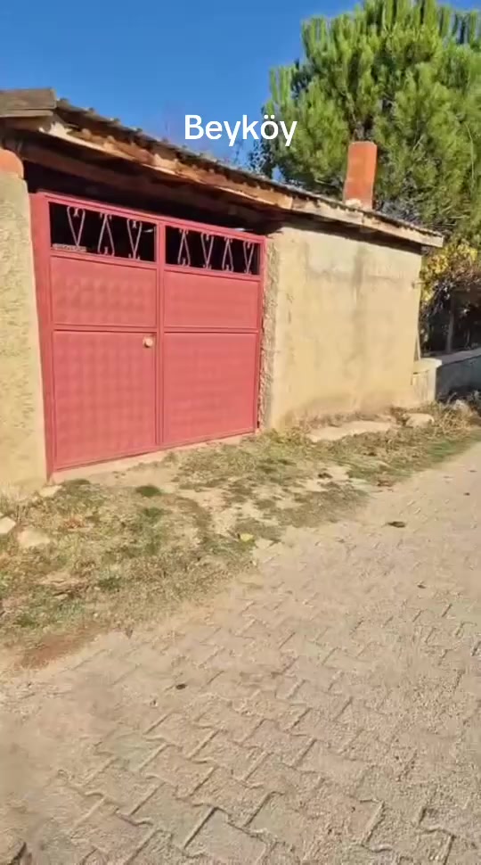 @ŞARKİKARAAĞAÇ__32