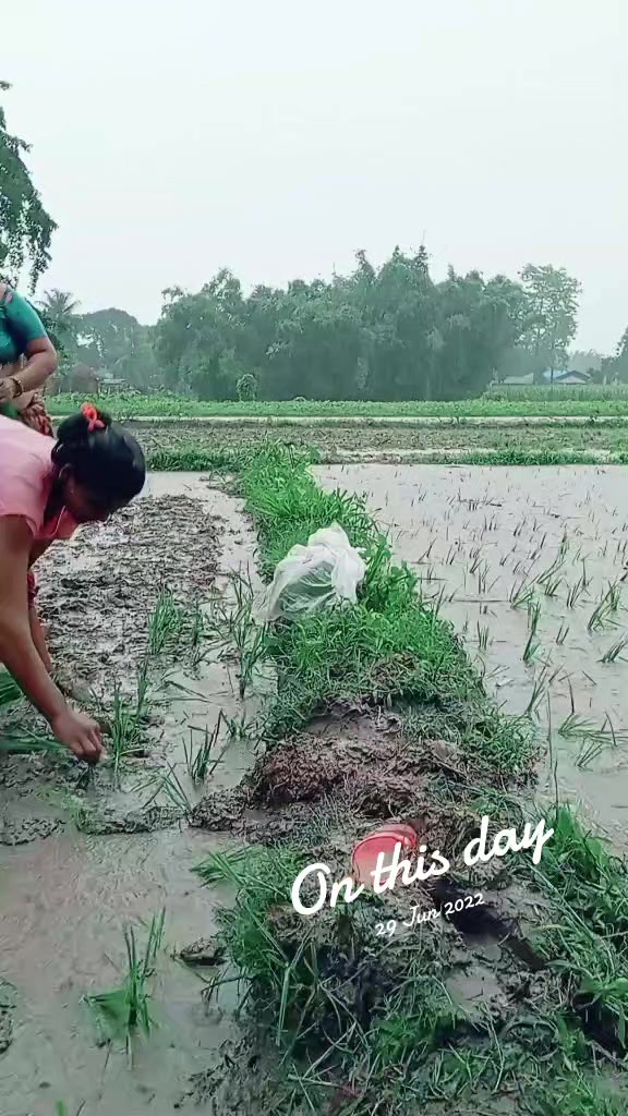 @Asha Kumari Mehta981