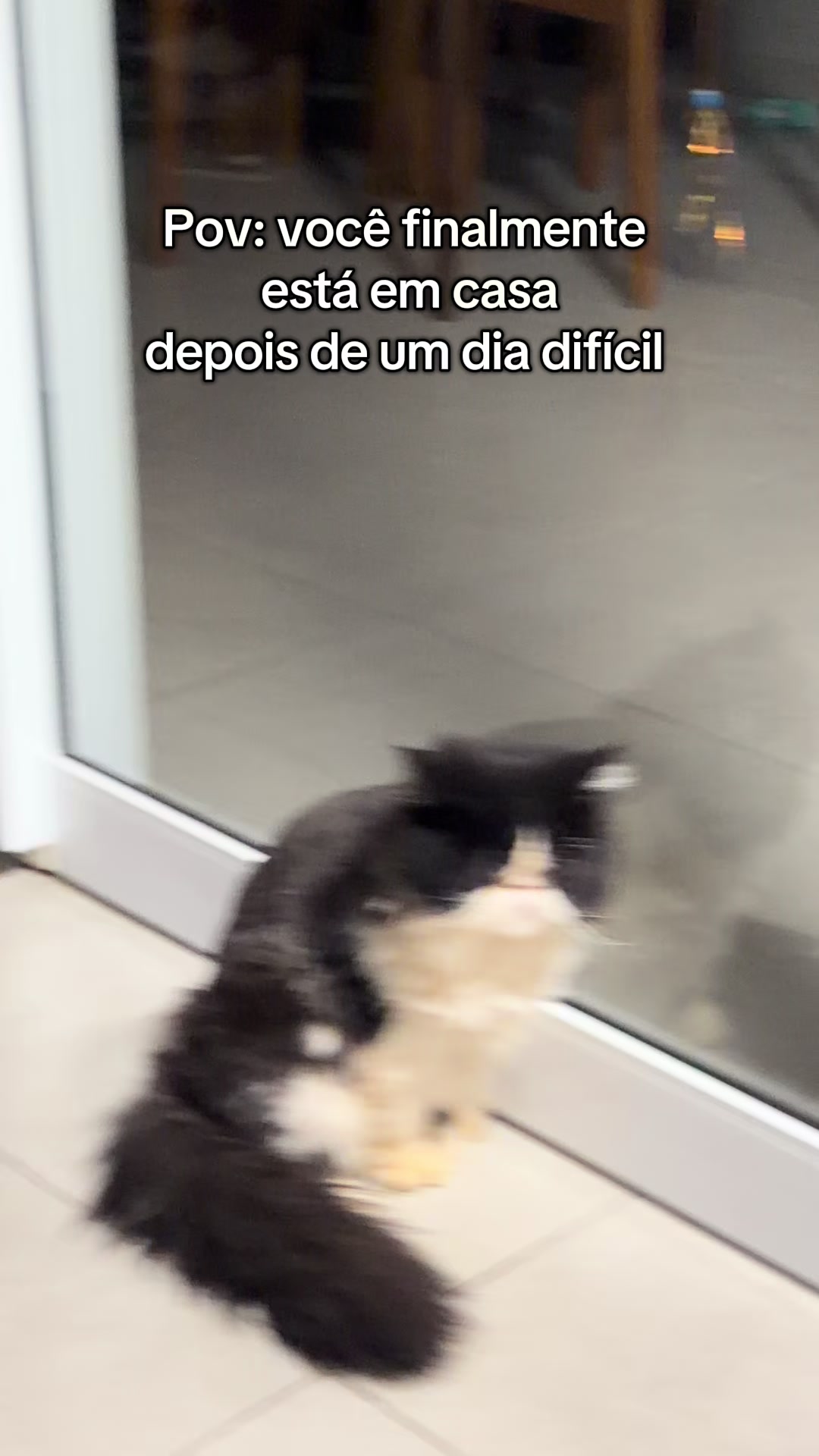 @Marília Ferreira