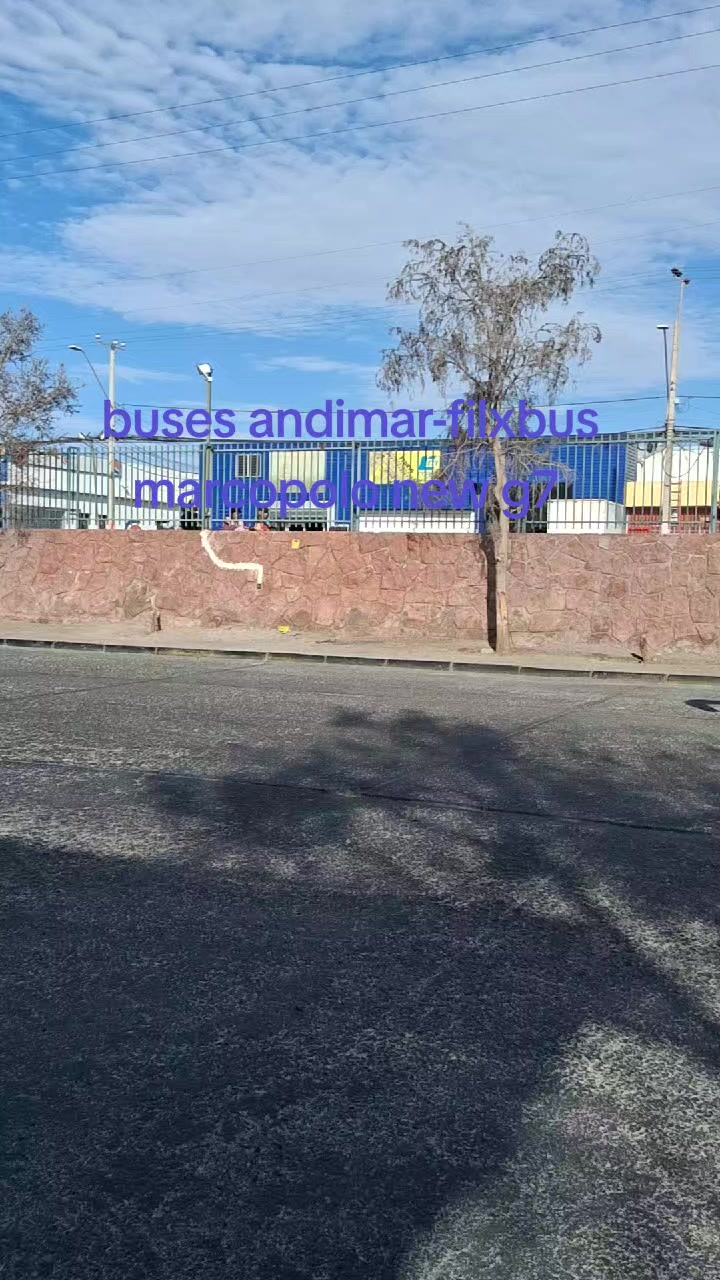 @Busolog&iacute;a renato 😎