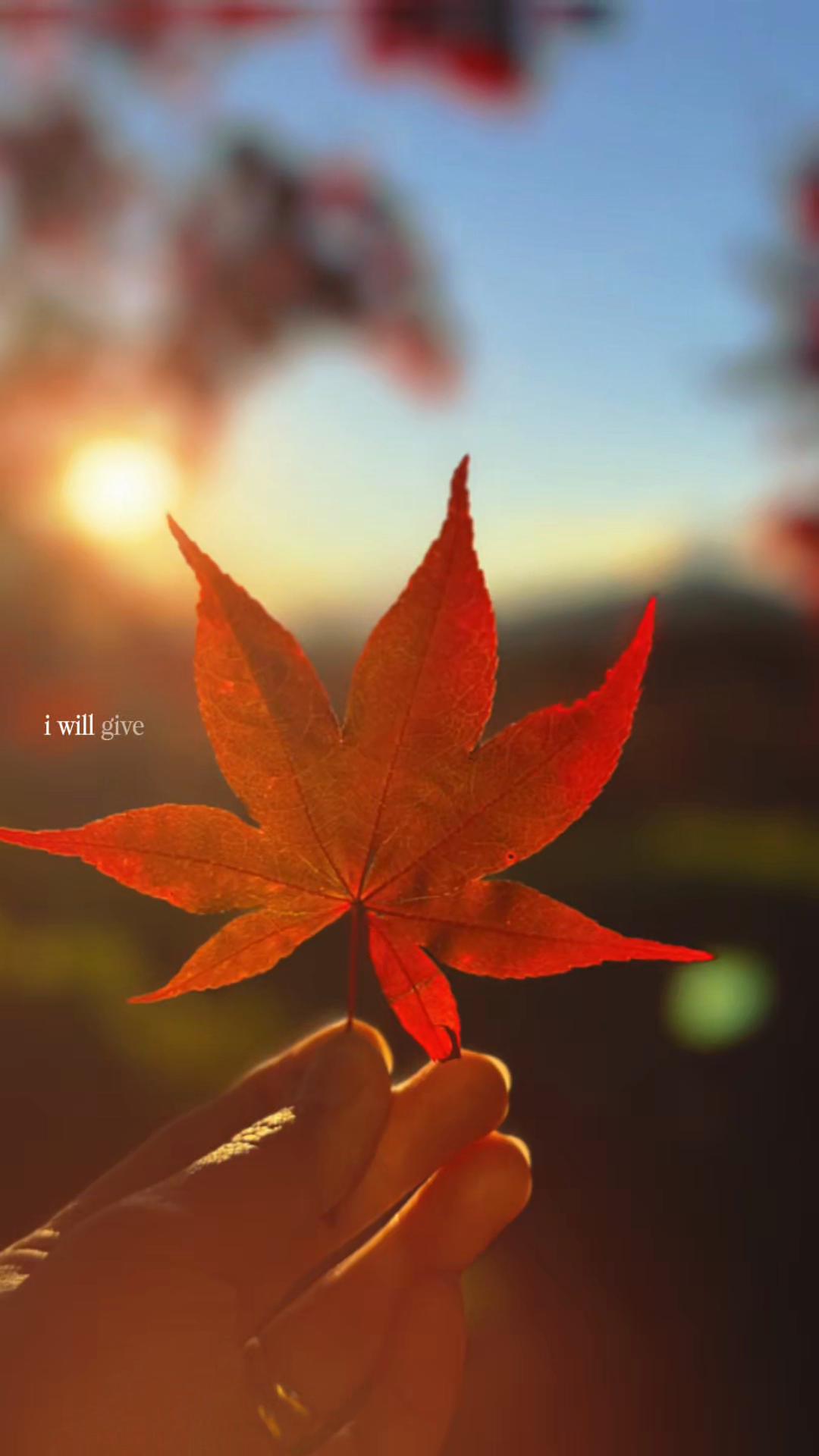 @๐
๏ธ๐
ข๏ธ.๐
ข๏ธ๐
๏ธ๐
๏ธ๐
จ๏ธ๐
๏ธ๐
ก๏ธ๐
๏ธ