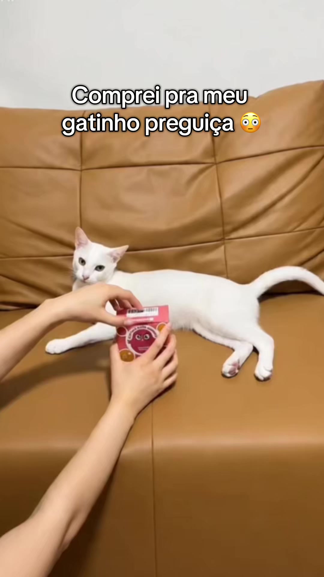 @anthonygabriellendario