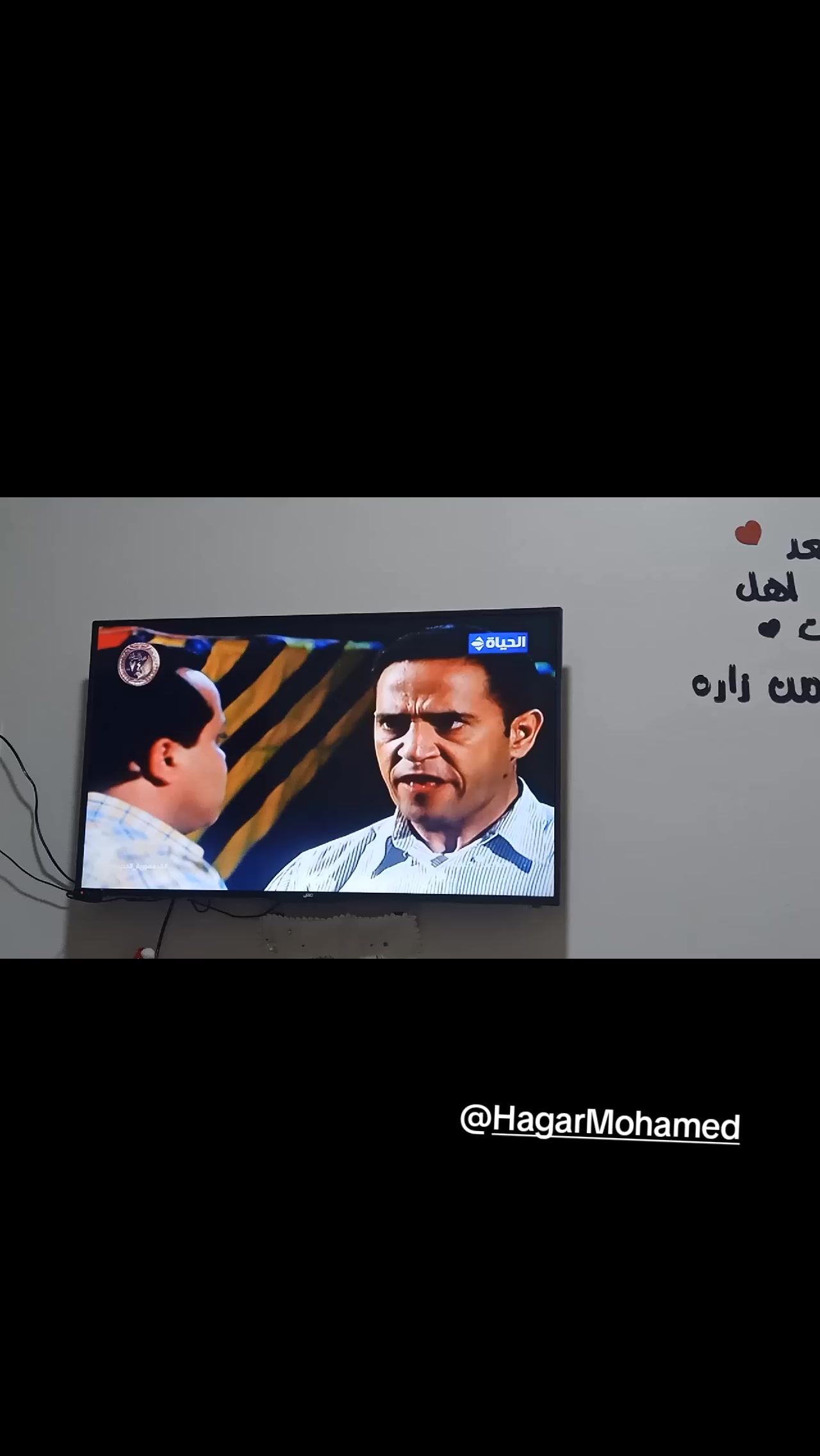 @haidy elsayed