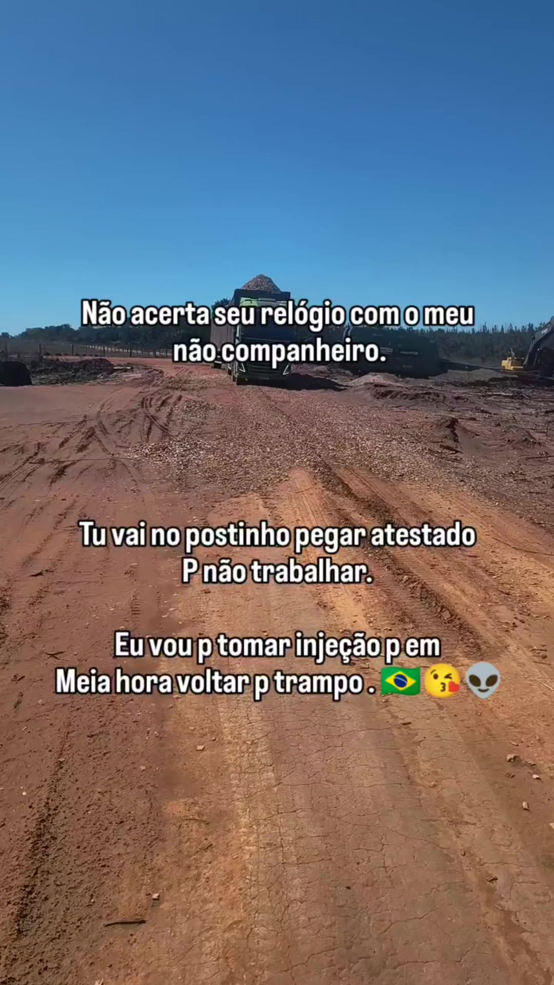 @Thales Almeida 🦾🌲