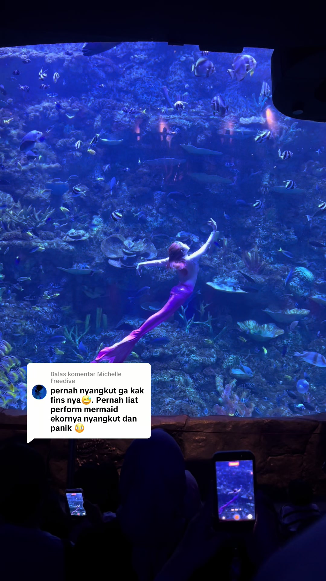 @Mermaid Cryztal