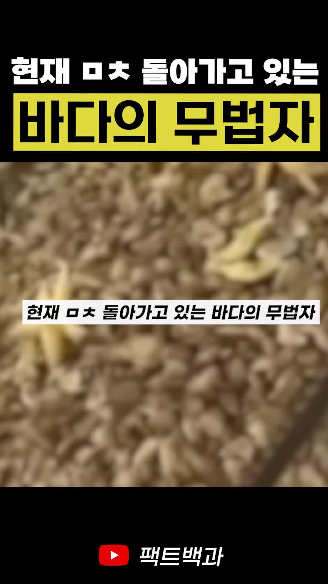 @인물백과
