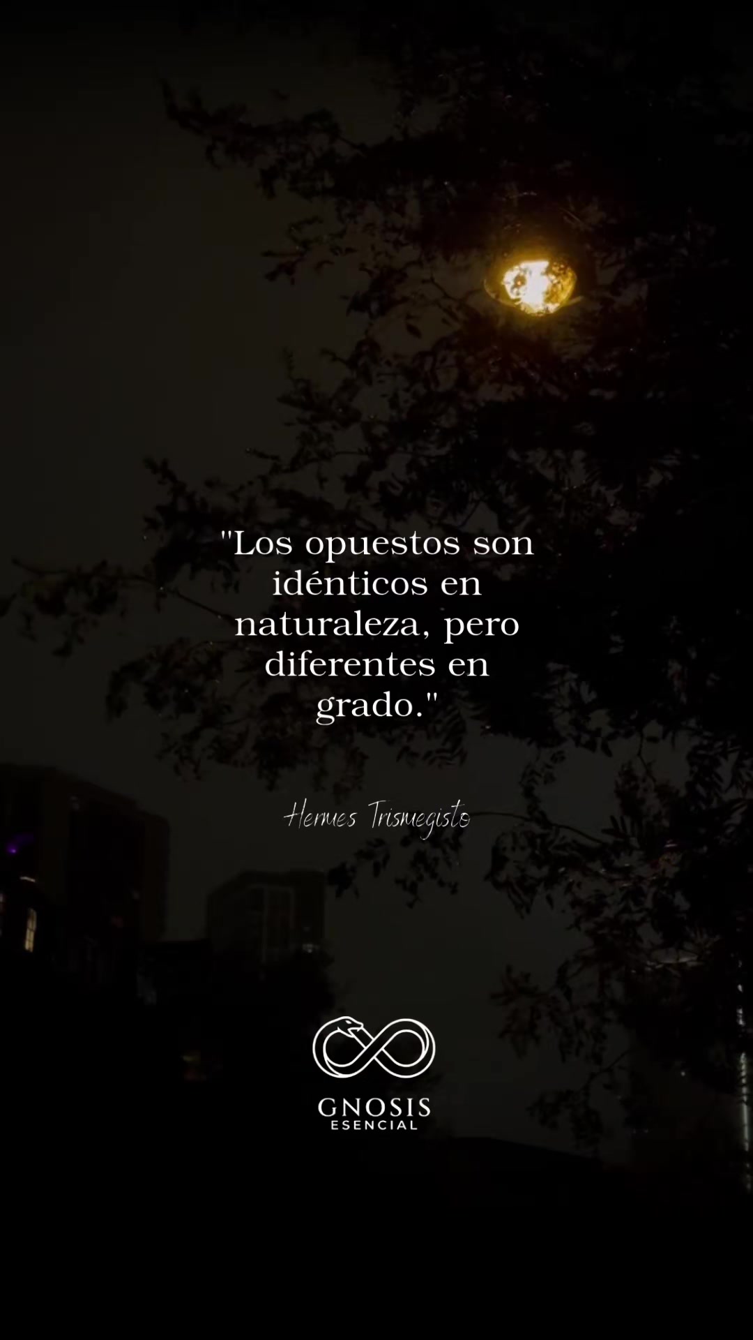 @Conocimiento Escencial