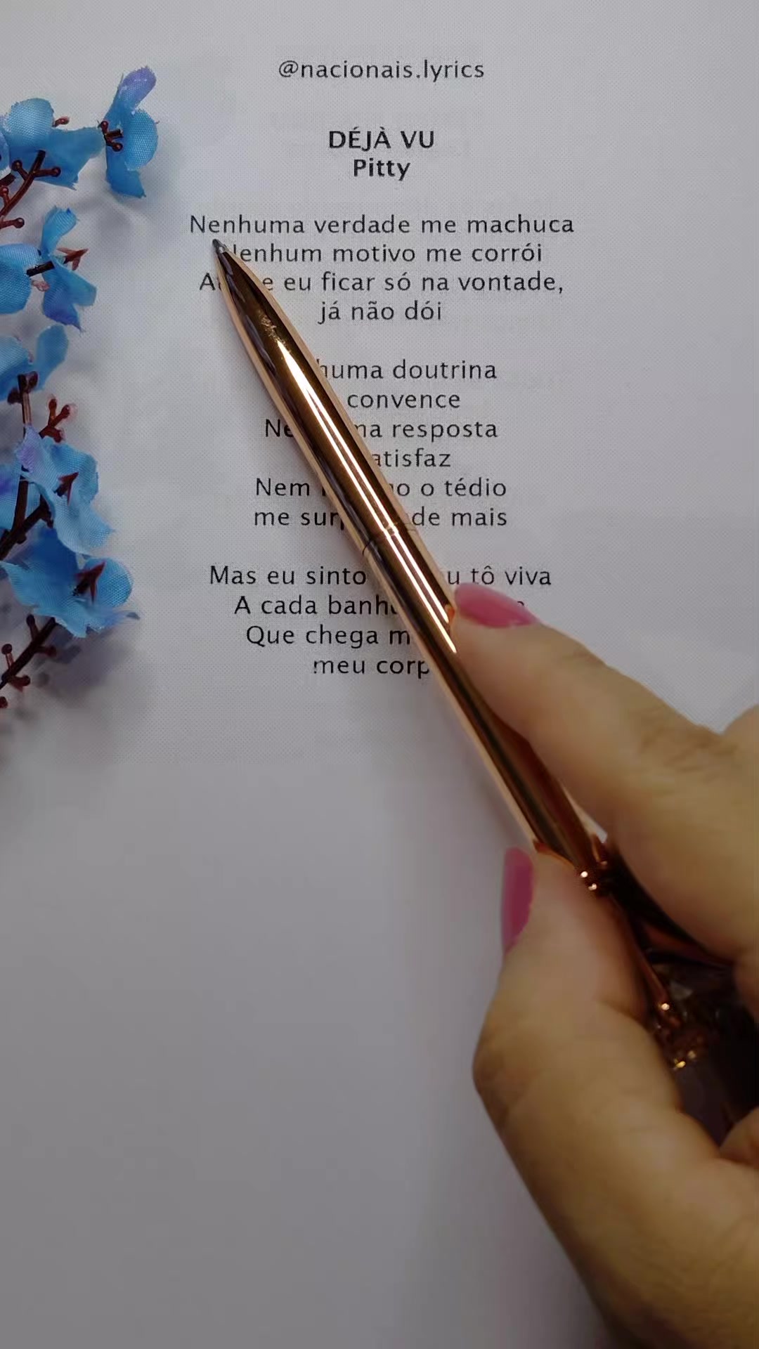 @nacionais lyrics