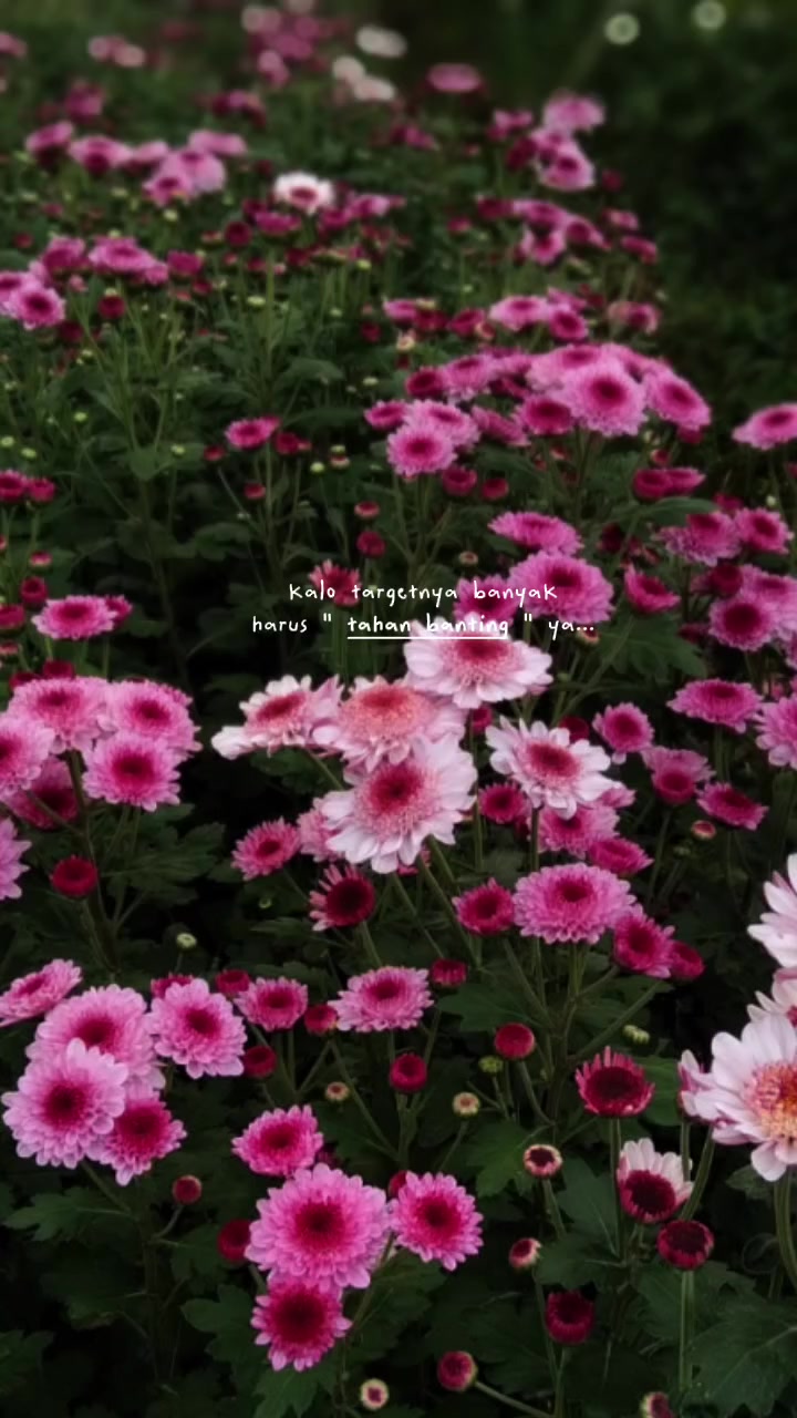 @𝐌𝐞𝐤𝐚𝐫 𝐒𝐞𝐧𝐣𝐚