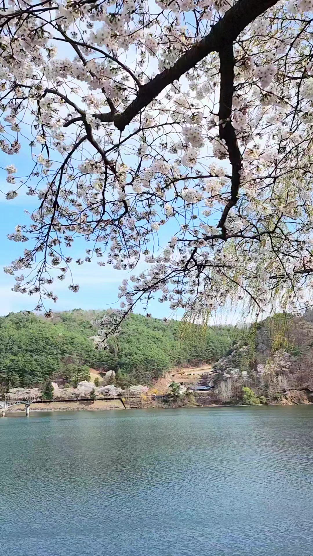@그림 같은 풍경