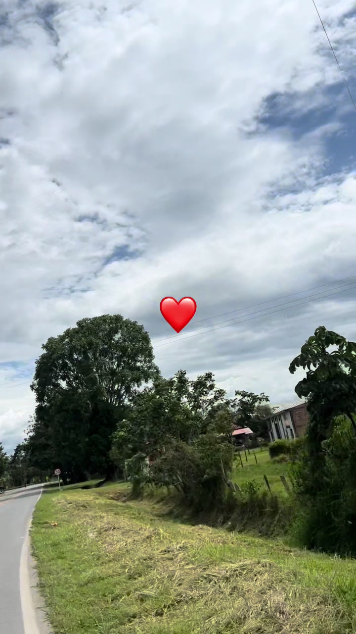@anii
