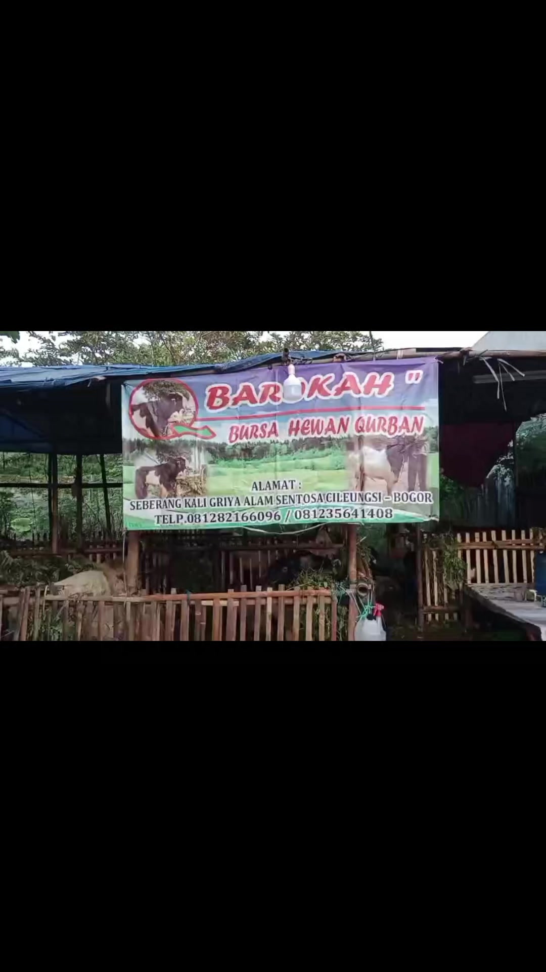@BAROKAHKAMBING🐐