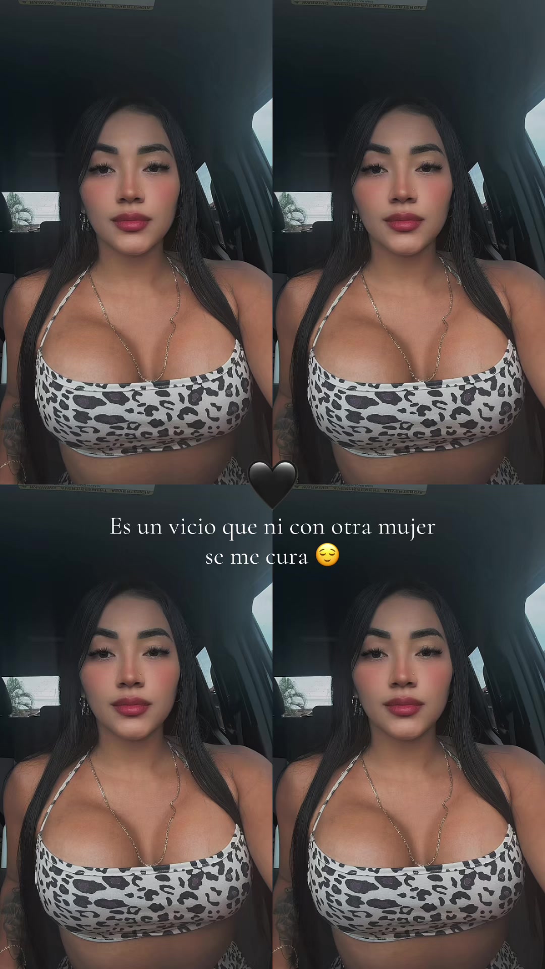 @Daniela Castañeda Soto