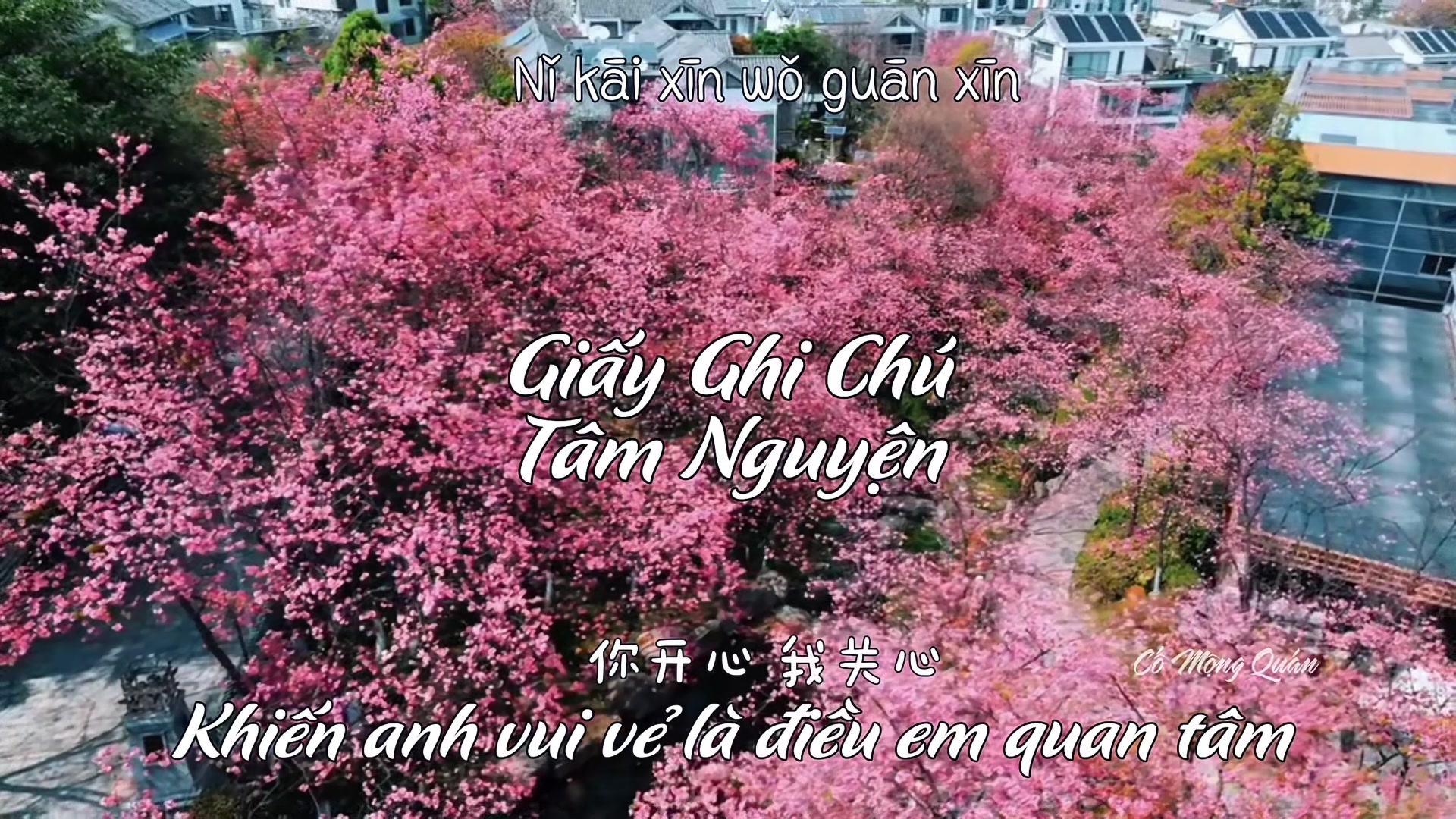 @Cố Mộng Qu&aacute;n 故梦馆