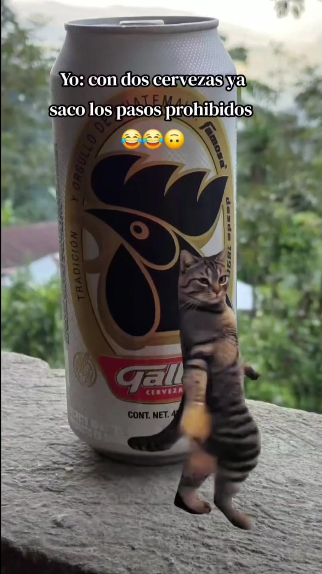 @Tiulito