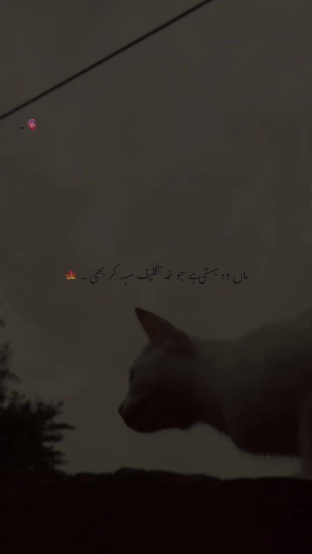 @🎭。