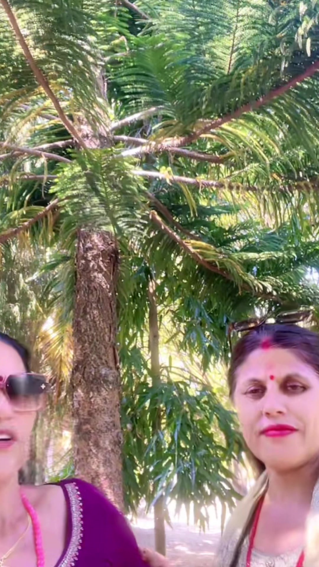 @Sakuntala Pandit459