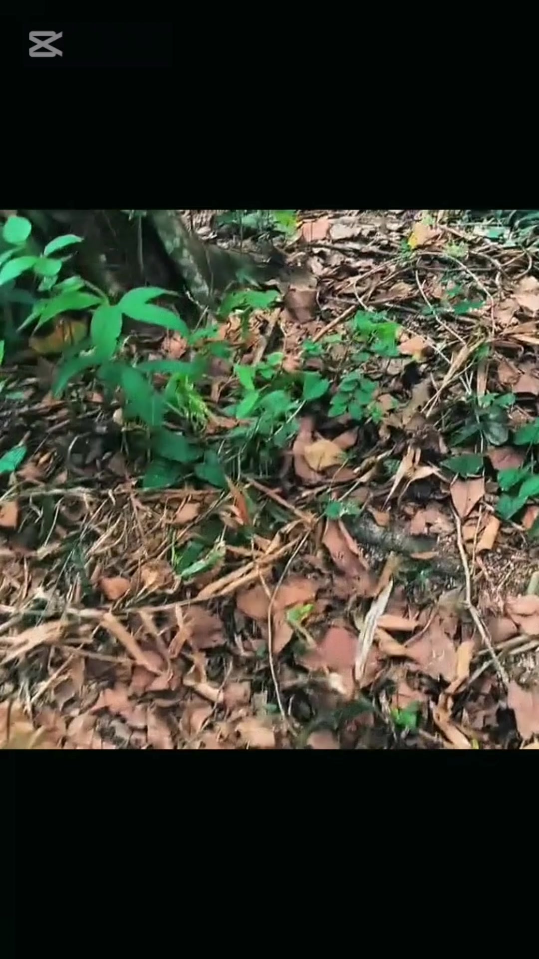 @мιη кнαηт