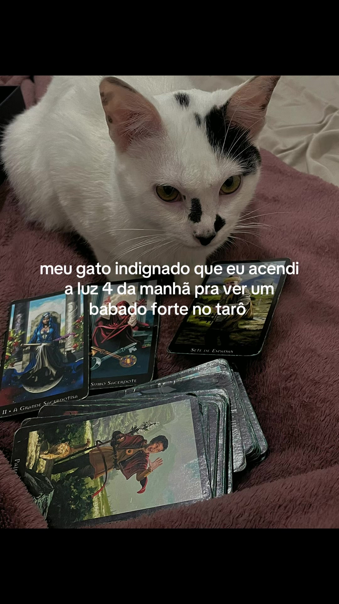 @Julia Pravina ⛤ Bruxa