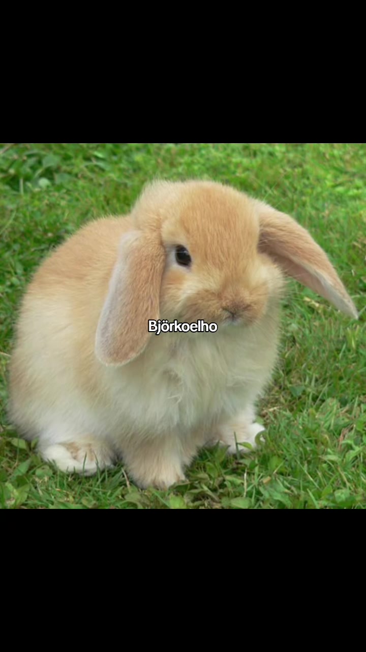 @M&iota;gᥙᥱᥣ gᥙᥱᥣ 🐇