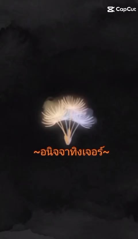 @😜ผู้หญิงกรุงเก่า😜