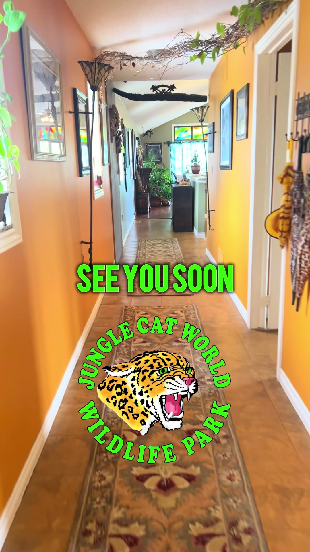 @Jungle Cat World