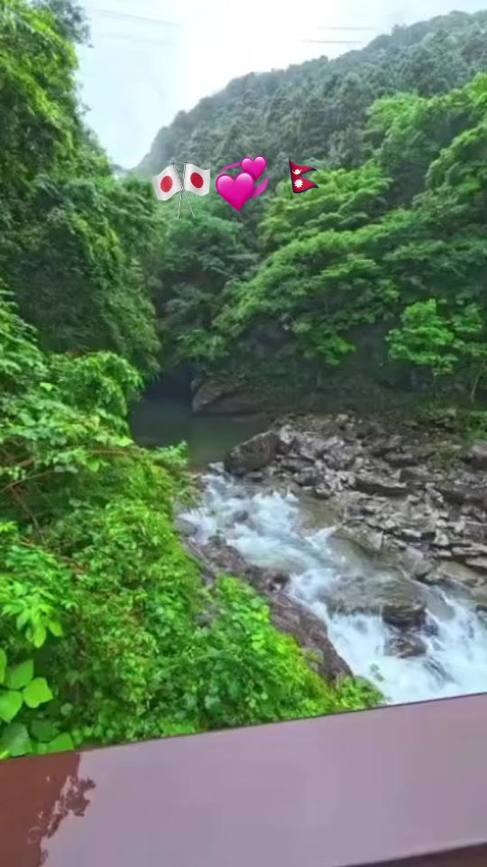 @रन्जिता कोइराला日本🇯🇵🎌🇳🇵