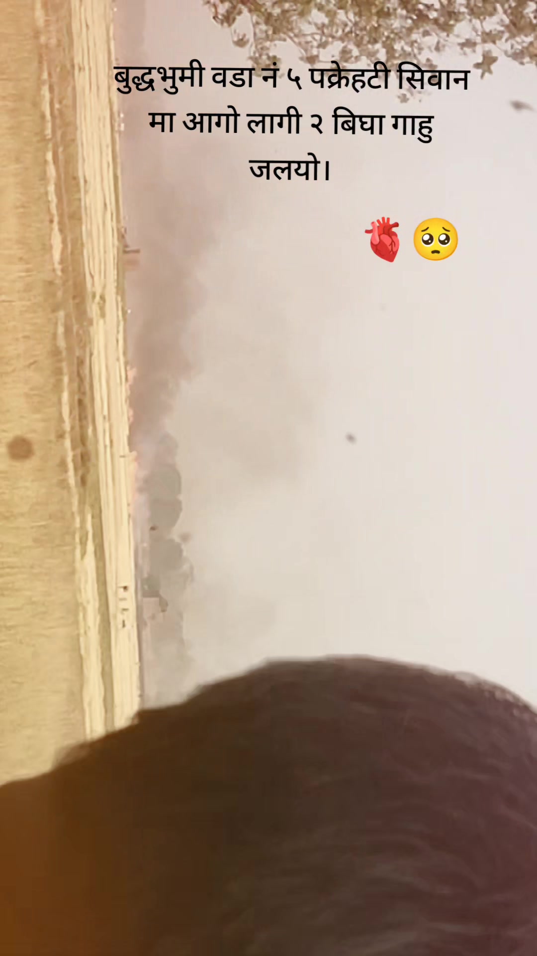 @🦋⁂༄ᶸ𐌽𝕝ᶸc𝚔ꪗҍᵒꪗ༄⁂🦋