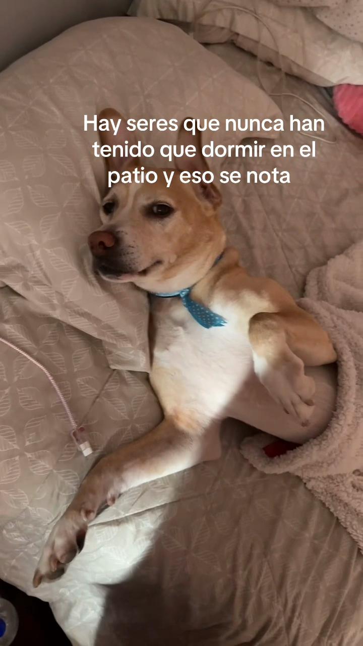 @zaleth haro